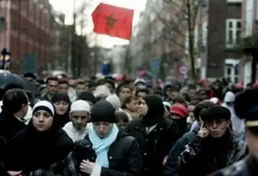 دراسة: التمييز يعيق حصول 83% من الشباب المغاربة على عمل بهولندا