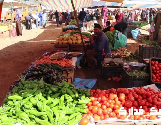 شركات ومقاولون يحتجون على شبهات “اختلالات“ بصفقة السوق الأسبوعي لجماعة الريش