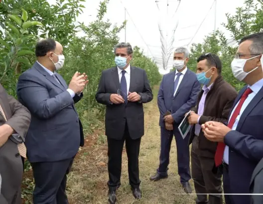 أخنوش يتفقد المساحات المتضررة من عاصفة الصقيع بجهة فاس مكناس (فيديو)