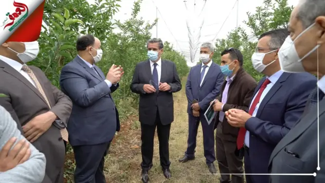 أخنوش يتفقد المساحات المتضررة من عاصفة الصقيع بجهة فاس مكناس (فيديو)
