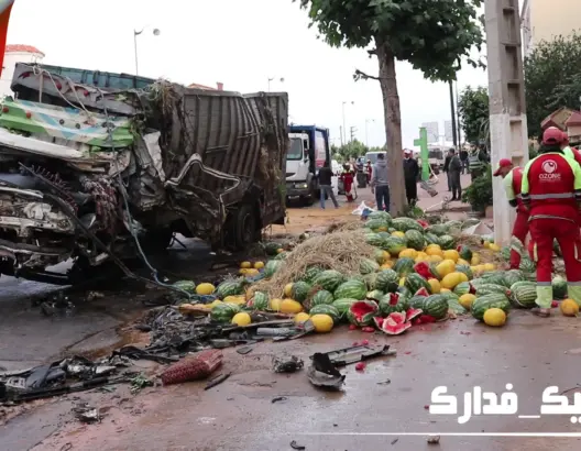 كاتب رأي