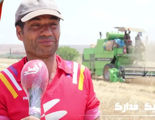 انطلاق موسم الحصاد بالحاجب.. خسائر في المحصول بسبب قلة التساقطات (فيديو)
