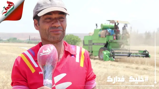 انطلاق موسم الحصاد بالحاجب.. خسائر في المحصول بسبب قلة التساقطات (فيديو)