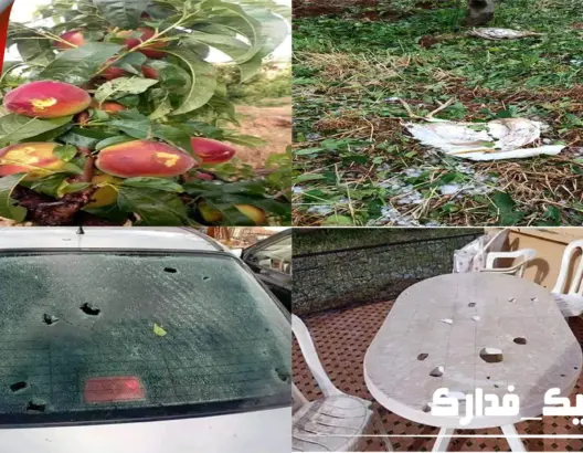 أمطار “طوفانية” بحبات البرد تخلف خسائر كبيرة بالممتلكات والمزروعات بجهة فاس مكناس (فيديو)
