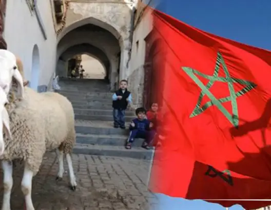 حزب مغربي يقترح إلغاء “عيد الأضحى” بسبب جائحة كورونا (فيديو)