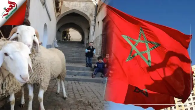 حزب مغربي يقترح إلغاء “عيد الأضحى” بسبب جائحة كورونا (فيديو)