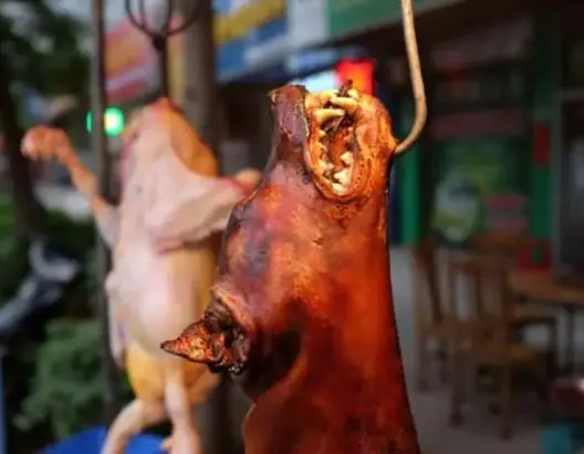 في ظل أزمة كورونا.. الصين تنظم مهرجانا للحوم الكلاب