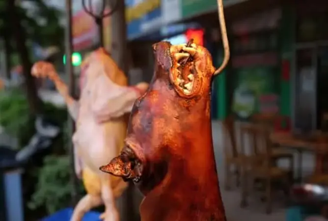 في ظل أزمة كورونا.. الصين تنظم مهرجانا للحوم الكلاب