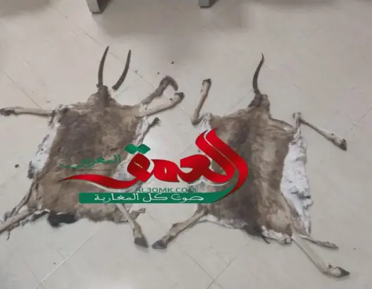 الصيد العشوائي، القنص