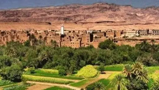 طالب يشتكي إقصاءه من العمل الموسمي بشركة للمعادن بتنغير