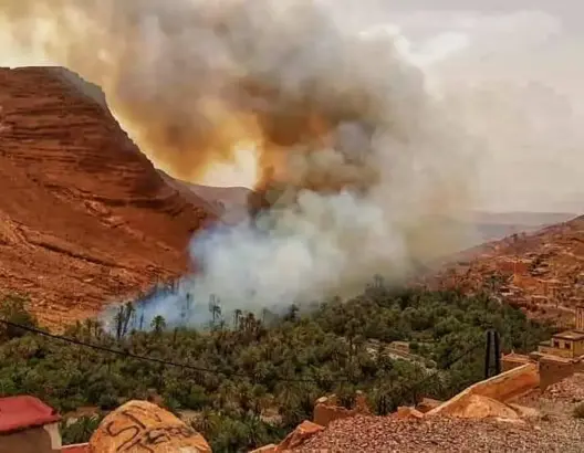حريق “مهول” يلتهم واحة بكلميم ويخلف خسائر مادية جسيمة