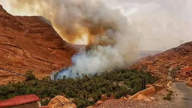 حريق “مهول” يلتهم واحة بكلميم ويخلف خسائر مادية جسيمة