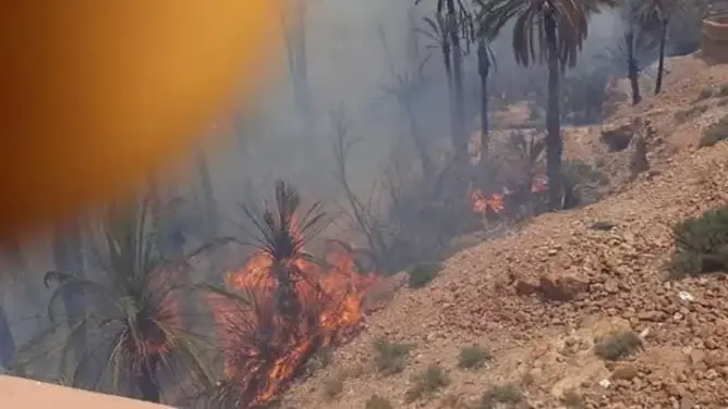 بعد حريق بأكبر واحة بتنزنيت .. “بييزاج” تحذر من حرائق مماثلة في الصيف