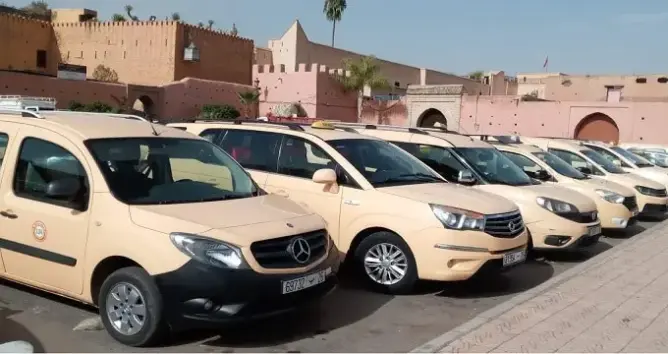 وزارة النقل تكشف حزمة إجراءات لدعم المهنيين تزامنا وإضرابهم عن العمل