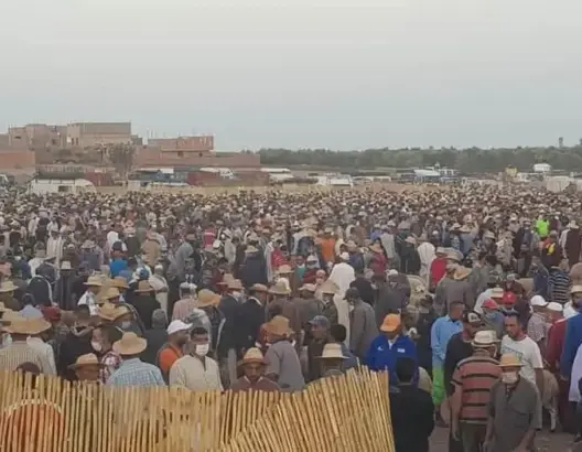 اكتظاظ غير مسبوق بسوق للمواشي ينذر بـ”بؤرة وبائية” بقلعة السراغنة (صور)
