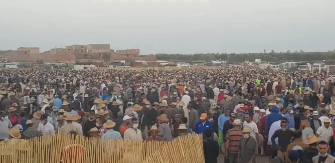 اكتظاظ غير مسبوق بسوق للمواشي ينذر بـ”بؤرة وبائية” بقلعة السراغنة (صور)
