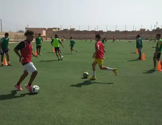 لإنجاح البطولات.. الجامعة تُخصص لجنا للطوارئ بالعصب الجهوية