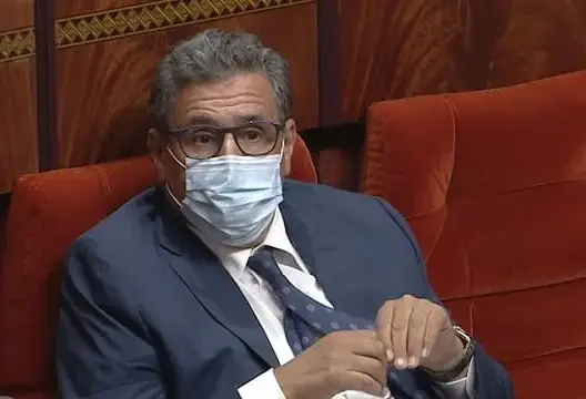 أخنوش: ارتفاع الصادرات الفلاحية دليل على صمود القطاع خلال أزمة “كورونا”
