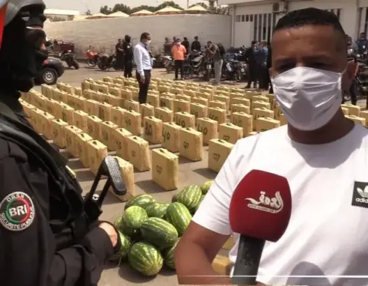 ولاية أمن أكادير تعرض أطنانا من الشيرا مخبأة وسط حمولة لفاكهة “الدلاح” (فيديو)