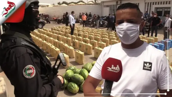 ولاية أمن أكادير تعرض أطنانا من الشيرا مخبأة وسط حمولة لفاكهة “الدلاح” (فيديو)