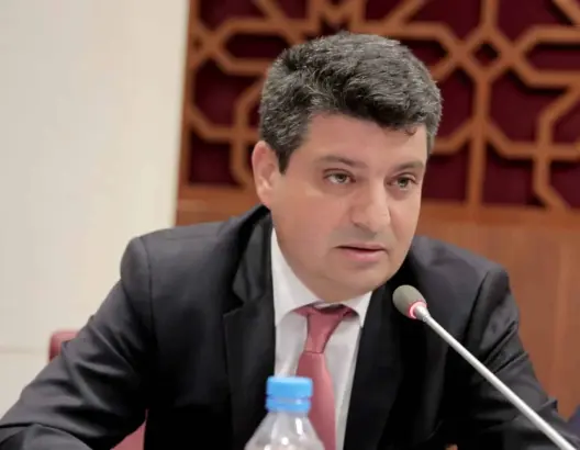 أستاذ القانون العام بجامعة محمد الخامس بالرباط