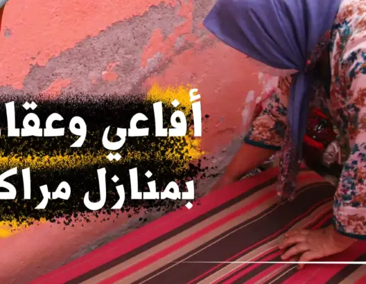 الحرارة تخرج أفاعي وعقارب بمنازل مراكش (فيديو)