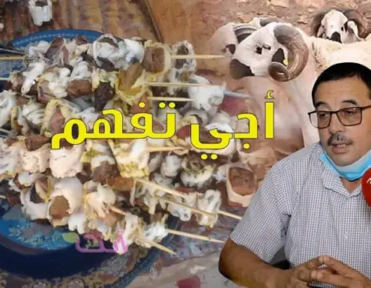 “أجي تفهم” مع الشافعي.. نصائح لرحلة آمنة لأضحية العيد من “الزريبة” إلى “بولفاف” (فيديو)