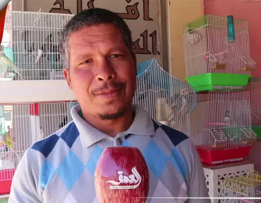 في زمن “كورونا” .. مُعاناة “بائعي الطيور” في التربية والتسويق (فيديو)