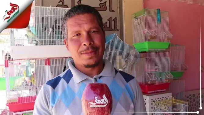 في زمن “كورونا” .. مُعاناة “بائعي الطيور” في التربية والتسويق (فيديو)