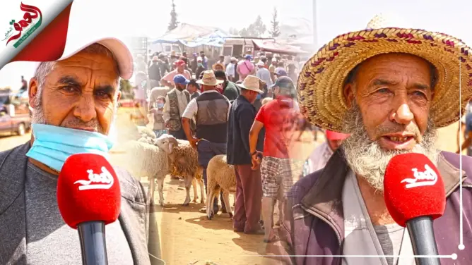 هذه أسعار الأضاحي بـ”علال البحراوي” .. وفلاح: لو تم إلغاء العيد لكان ضربة قاضية لنا (فيديو)
