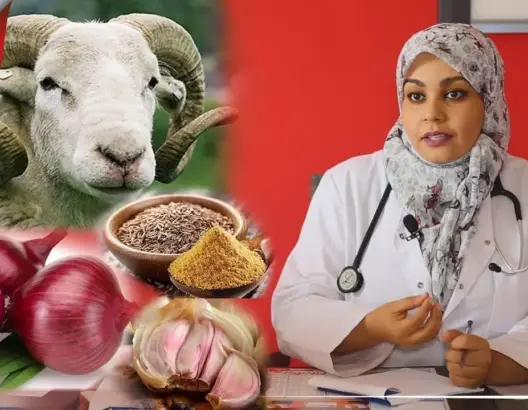 طبيبة - نصائح عيد الأضحى
