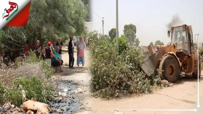 السلطات تزيل الأشجار