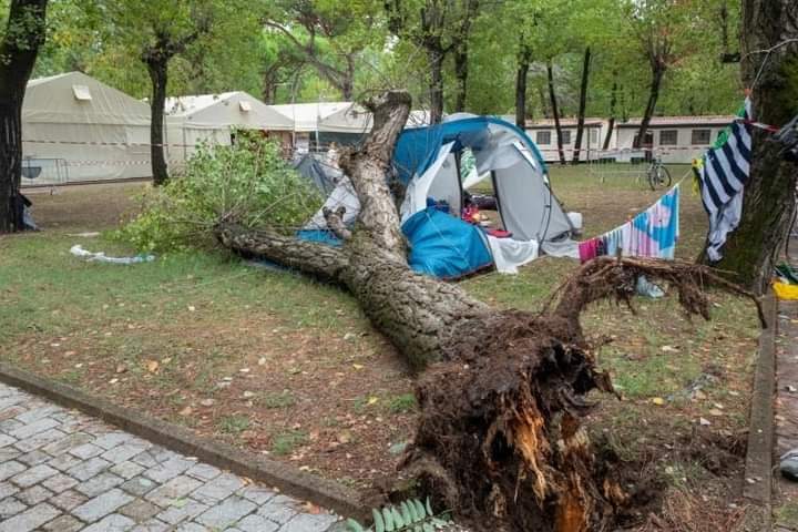 سقوط شجرة على خيمة أسرة مغربية بإيطاليا