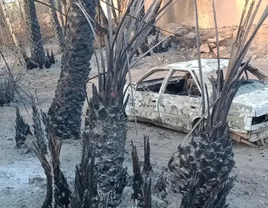 رفاق منيب بكلميم: حريق واحة تيغمرت كارثي ويتطلب فتح تحقيق