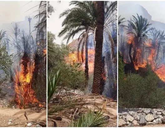 إقليم تيزنيت