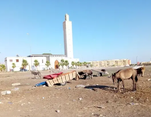 تراكم الأزبال