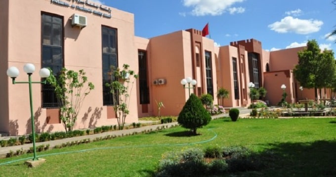 جامعة مولاي اسماعيل