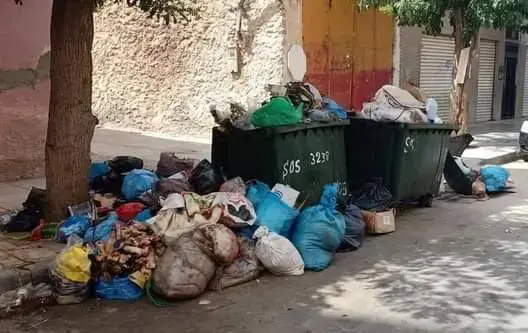 وجدة