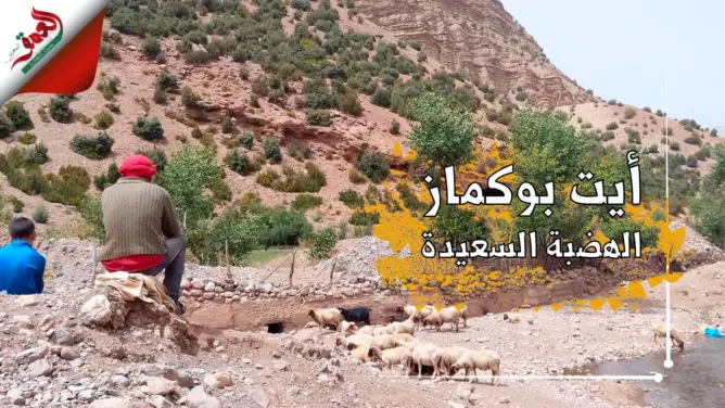 عندما تلبس الهضبة السعيدة “بوكماز” زينتها صيفا وتتراقص فوقها قطرات المطر (فيديو)