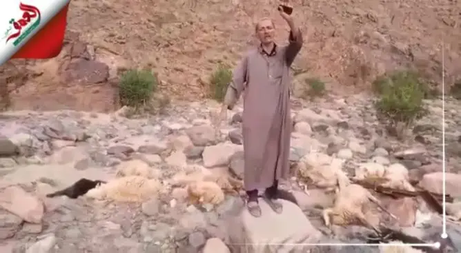 مياه مسمومة تتسبب في نفوق عشرات الأغنام بتارودانت وفلاحون يتهمون شركة للتعدين (فيديو)