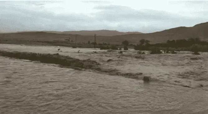 عواصف رعدية