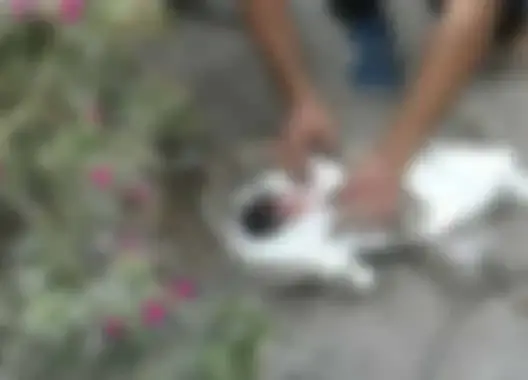 العثور على رضيعة متخلى عنها يستنفر سلطات تنغير