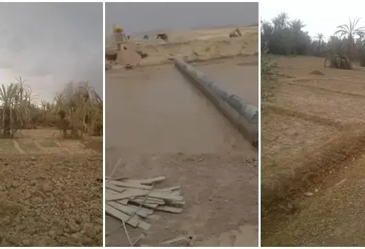 قرية مزرعة تالوين بكلميمة تعاني الجفاف