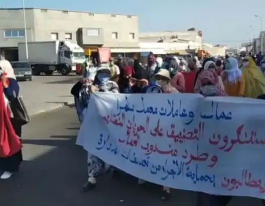 الصويرة .. “البوانتاج” يخرج عمال تصبير السمك للشارع ومديرة المعمل توضح (صور)