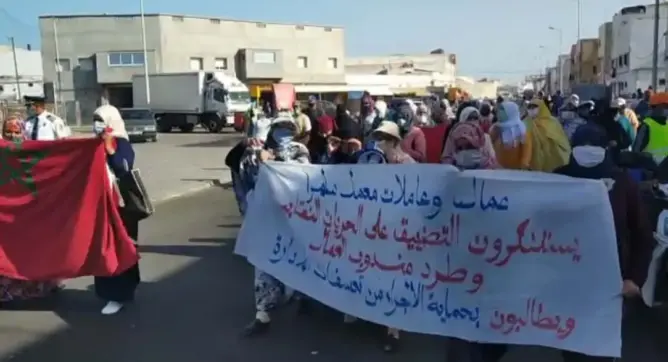 الصويرة .. “البوانتاج” يخرج عمال تصبير السمك للشارع ومديرة المعمل توضح (صور)