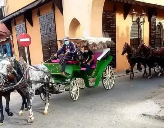 هذه حقيقة وصول أول فوج من السياح إلى مراكش بعد طول انتظار (فيديو)
