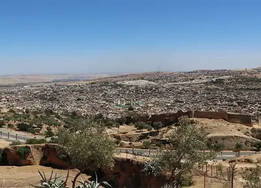 فاس