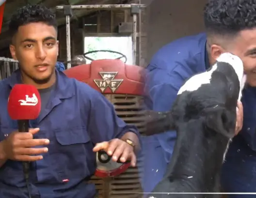 أيوب الوهراني شاب مغربي في هولندا