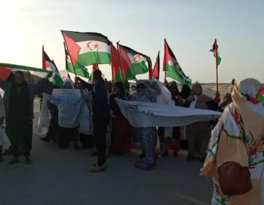 الشنقيطي: ليس من مصلحة الجزائر الانجرار مع ترهات البوليساريو