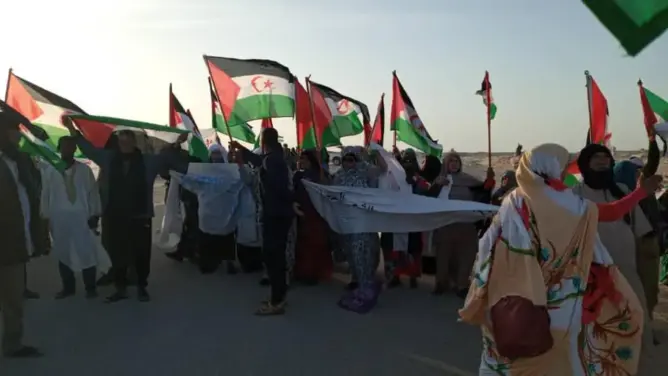 الشنقيطي: ليس من مصلحة الجزائر الانجرار مع ترهات البوليساريو